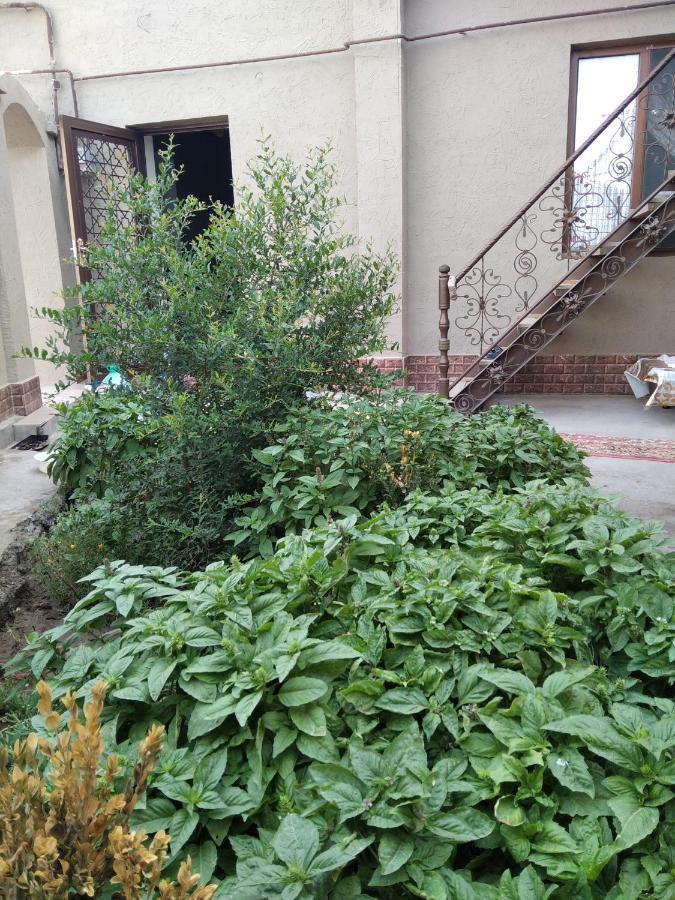 Guest House Art Postindoz Хива Экстерьер фото